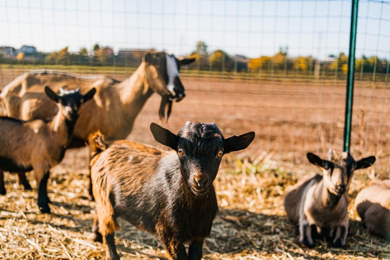 La Tenuta Di Santo Stefano Agri Resort & Spa Fossano Eksteriør bilde